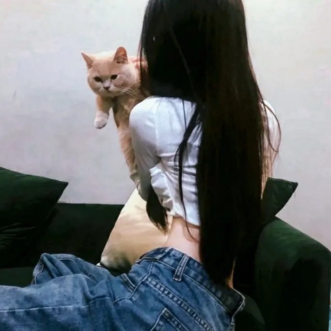 袋鼠拳王